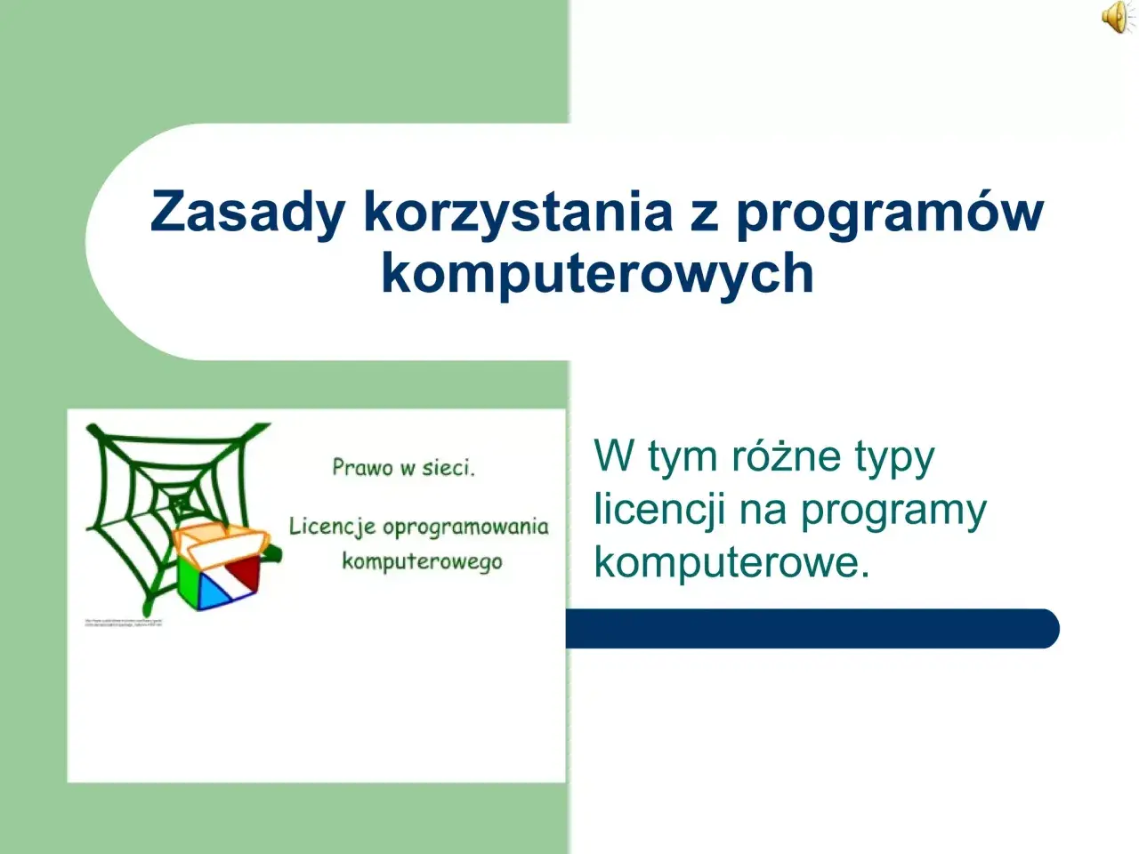 Grafika przedstawia zasady korzystania z programów komputerowych, w tym prawo w sieci i różne typy licencji.