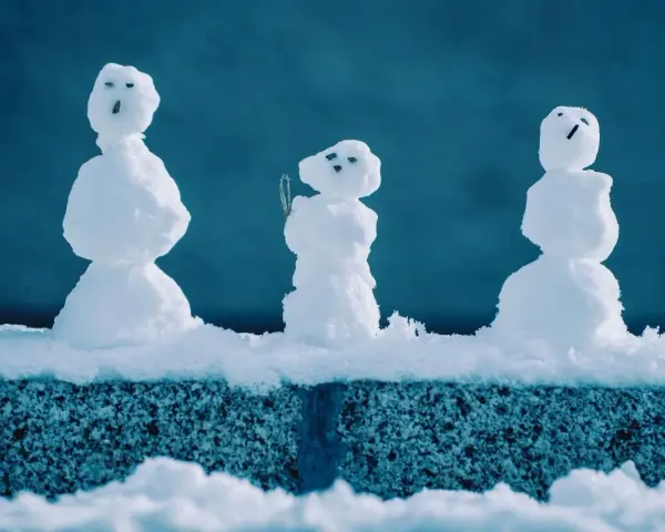 Jak zrobić rzeźbę ze śniegu? Inspiracje i poradnik!