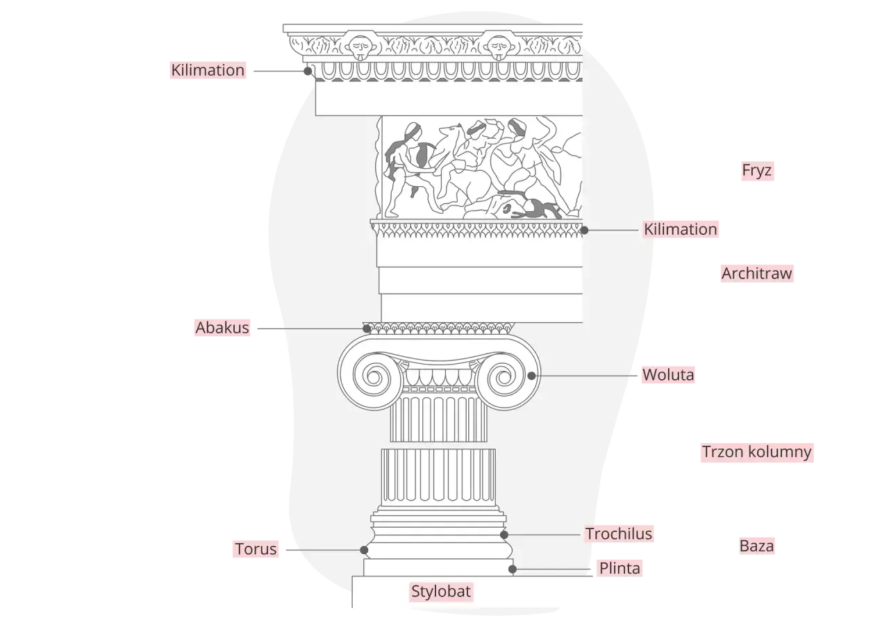 Ilustracja przedstawia część głowicy kolumny jońskiej z detalami: abakus, woluta, kilimacja, fryz, architraw.