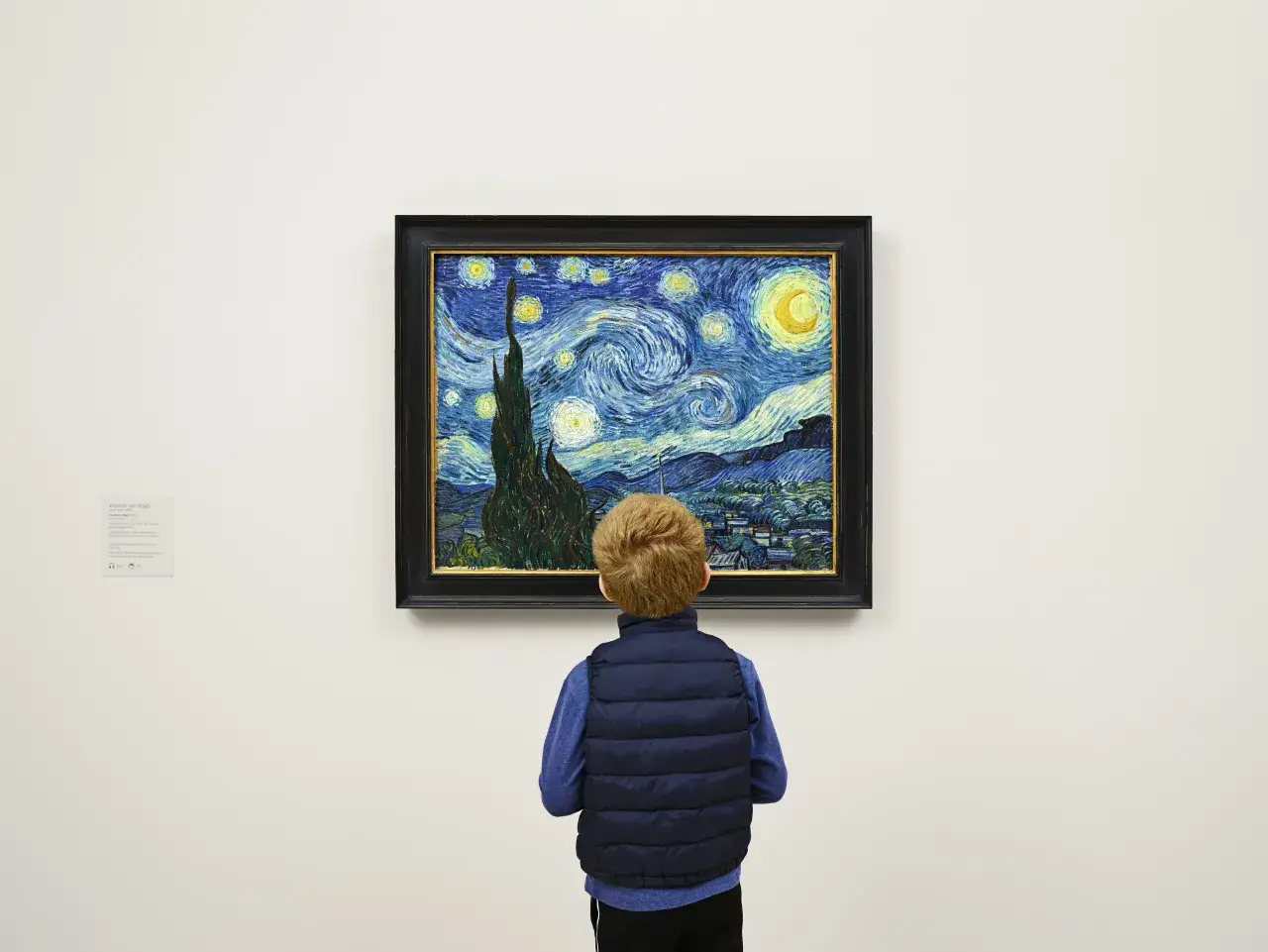 Van Gogh Starry Night MoMA