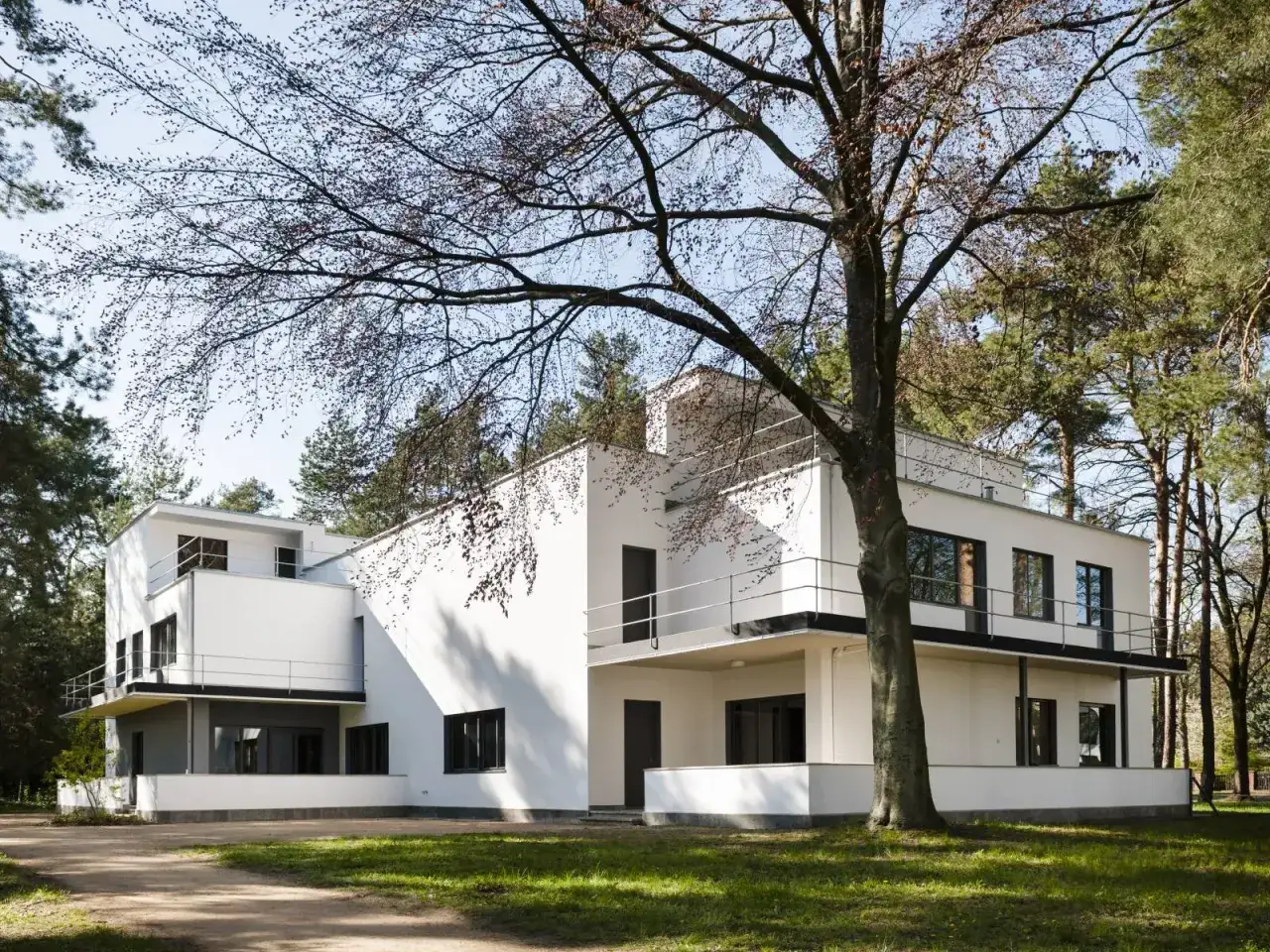Biała, modernistyczna willa w otoczeniu drzew. Charakterystyczna bauhaus architektura z płaskim dachem i dużymi oknami.